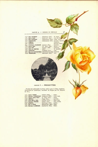 1900-GE-RdlH-Catalogue-Viger-p095a_wp
