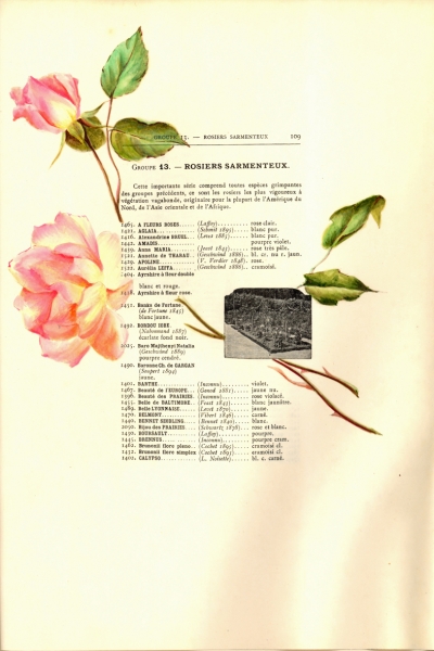 1900-GE-RdlH-Catalogue-Viger-p109a_wp