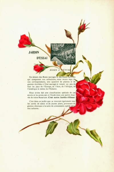 1900-GE-RdlH-Catalogue-Viger-p117a_wp