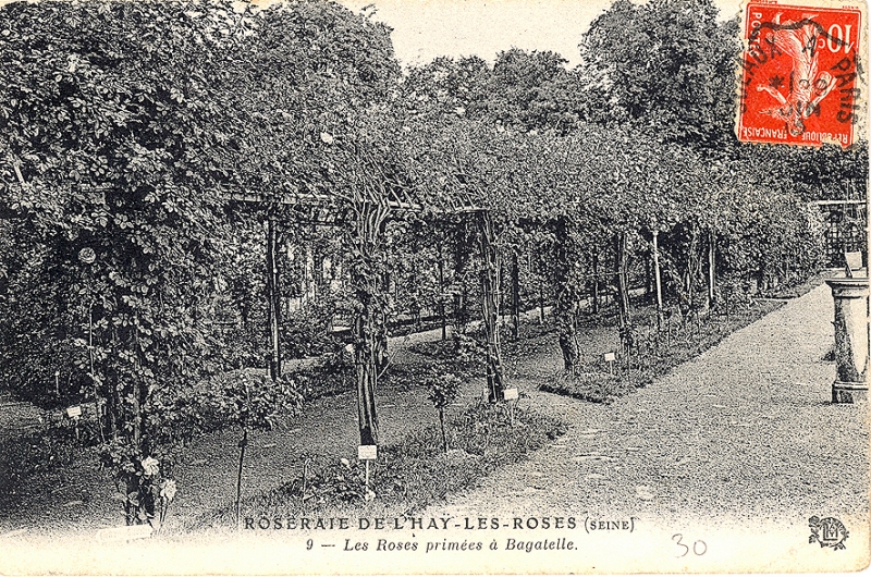 275-1@-9-ROSERAIE-DE-LHAY-LES-ROSES-SEINE-Les-roses-primées-à-Bagatelle_wp