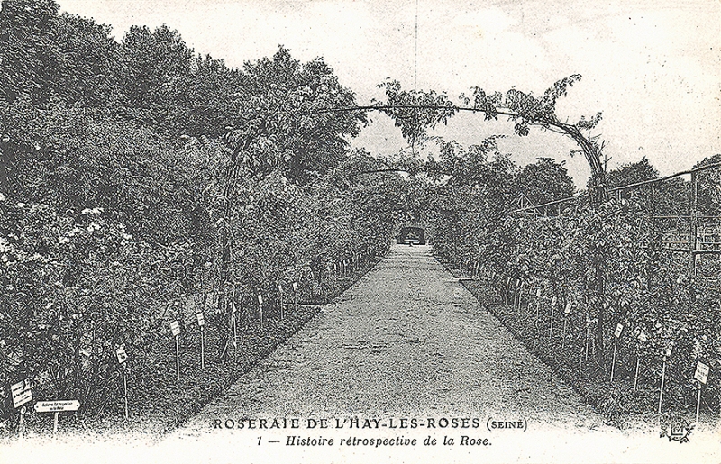 294-2©-1-ROSERAIE-DE-LHAY-SEINE-Histoire-rétrospective-de-la-Rose_wp