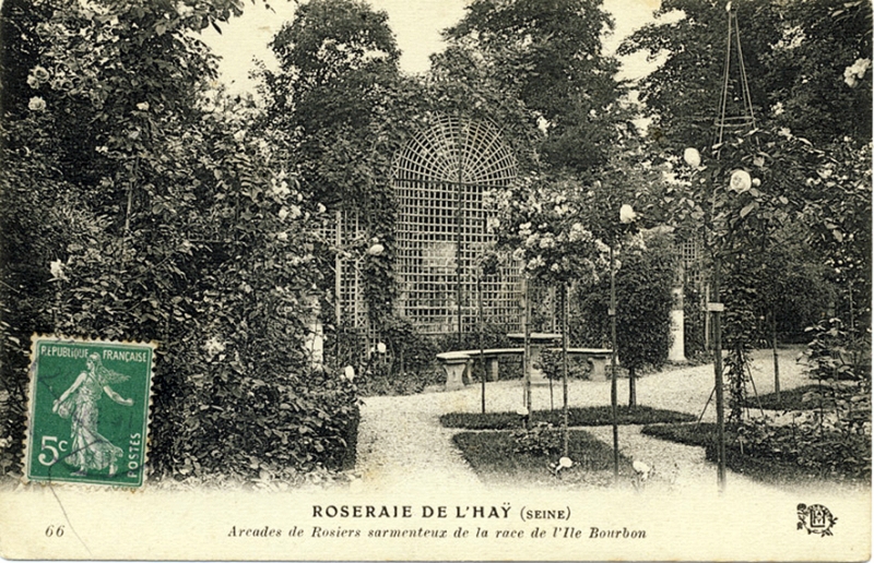 244-1©-66-ROSERAIE-DE-LHAY-SEINE-Arcades-de-rosiers-sarmenteux_wp