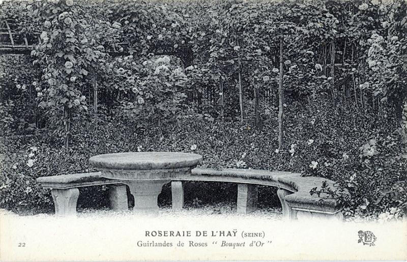 290©-22-ROSERAIE-DE-LHAY-SEINE-Guirlande-de-Roses-Bouquet-dOr_wp
