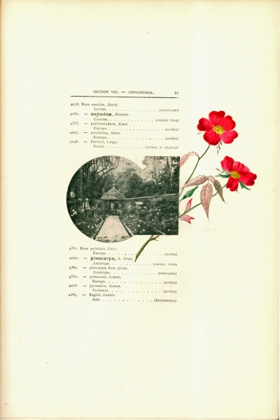 1900-GE-RdlH-Catalogue-Viger-p021a_wp