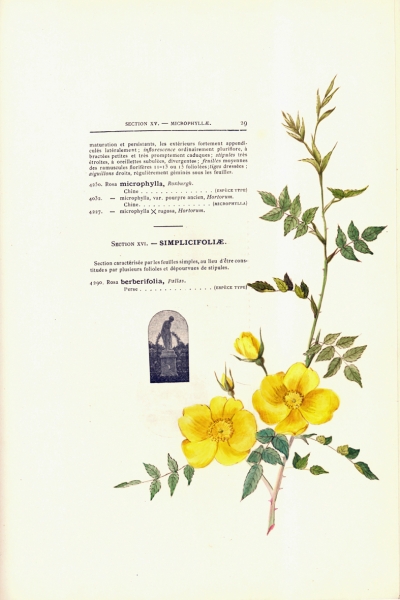 1900-GE-RdlH-Catalogue-Viger-p029a_wp