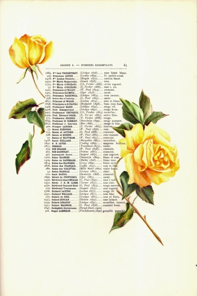 1900-GE-RdlH-Catalogue-Viger-p065a_wp