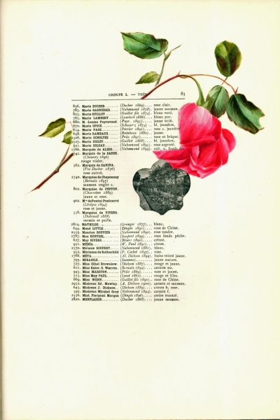 1900-GE-RdlH-Catalogue-Viger-p083a_wp