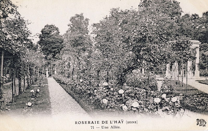 066-1©-71-ROSERAIE-DE-LHAY-SEINE-Une-Allée_wp
