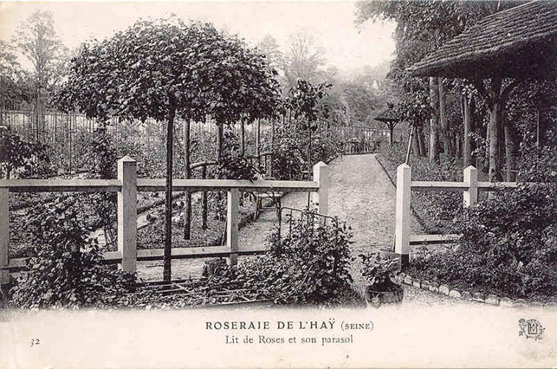 155©-32-ROSERAIE-DE-LHAY-Lit-de-roses-et-son-parasol_wp
