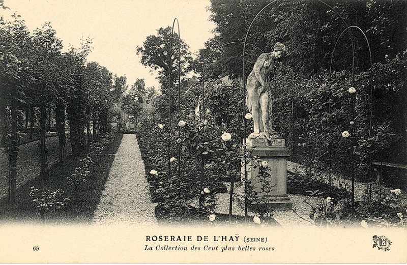 276-2©-69-ROSERAIE-DE-LHAY-SEINE-La-Collection-des-Cent-plus-belles-Roses_wp